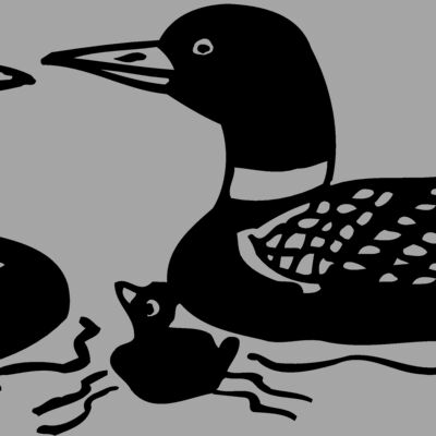 BIRD085 Thumbnail