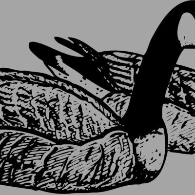 BIRD100 Thumbnail