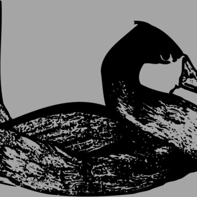 BIRD102 Thumbnail