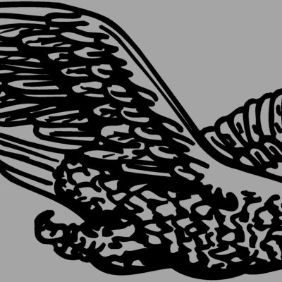 EAGLE006 Thumbnail