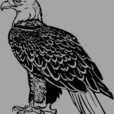 EAGLE017 Thumbnail