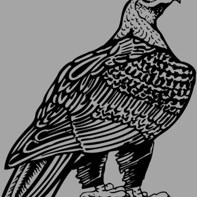 EAGLE018 Thumbnail