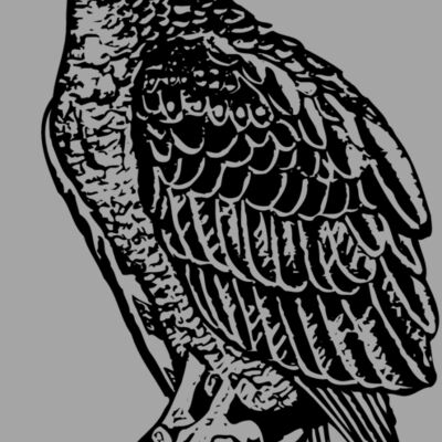 EAGLE019 Thumbnail