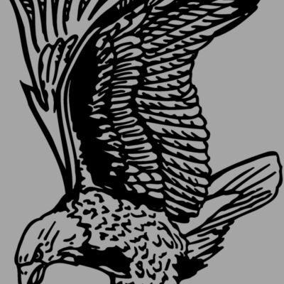 EAGLE020 Thumbnail