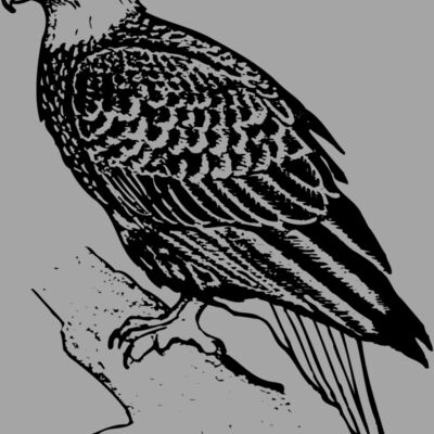 EAGLE021 Thumbnail