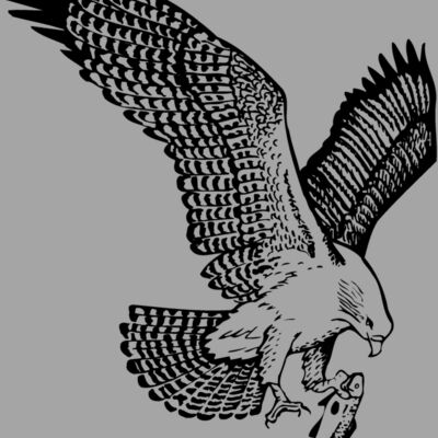 EAGLE022 Thumbnail