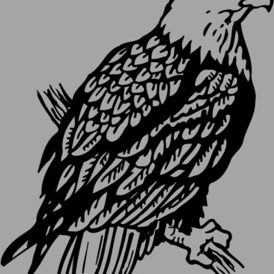 EAGLE024 Thumbnail