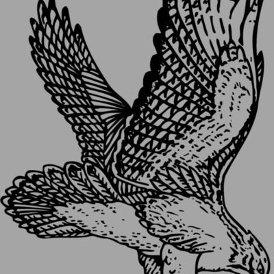 EAGLE026 Thumbnail
