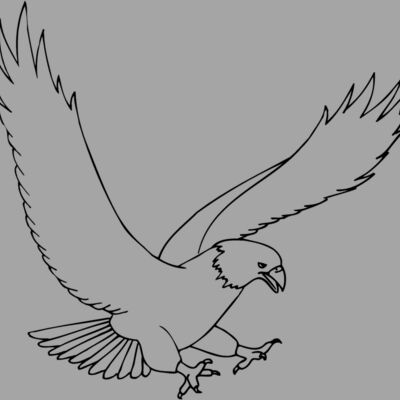 EAGLE43 Thumbnail