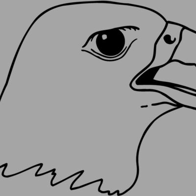 EAGLE45 Thumbnail