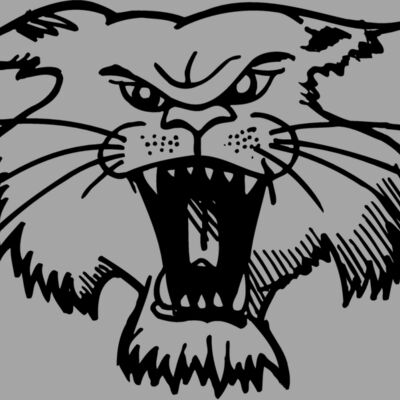CAT01 Thumbnail