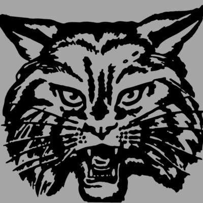 CAT03 Thumbnail