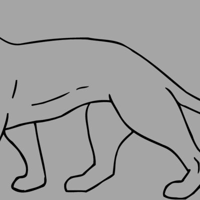 CAT05 Thumbnail