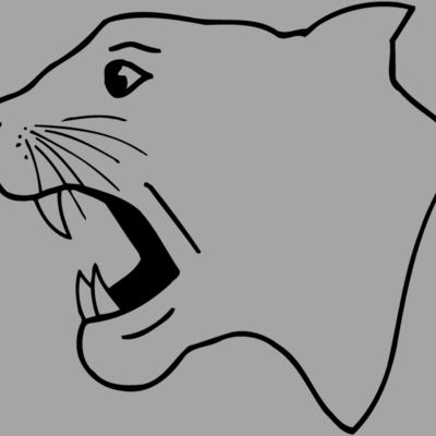 CAT06 Thumbnail