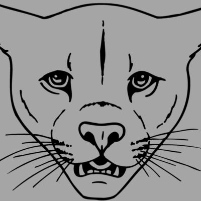 CAT16 Thumbnail