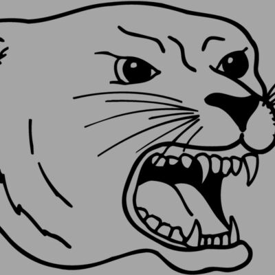 CAT17 Thumbnail