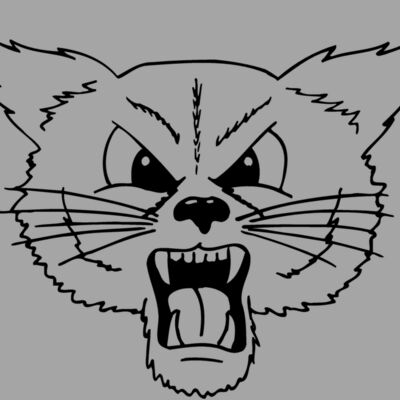 CAT20 Thumbnail
