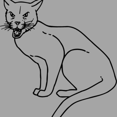 CAT21 Thumbnail