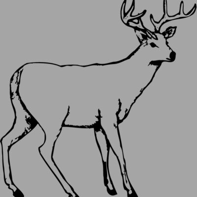 DEER002 Thumbnail