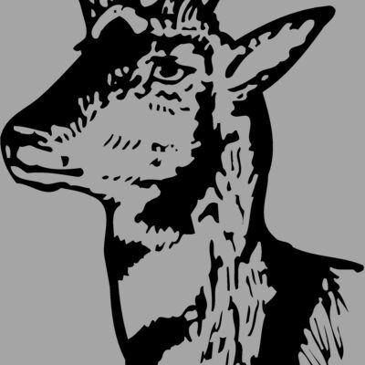 DEER013 Thumbnail