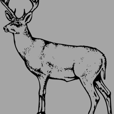 DEER026 Thumbnail