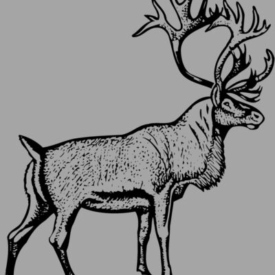DEER030 Thumbnail