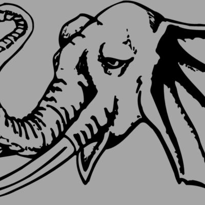 ELEPH008 Thumbnail