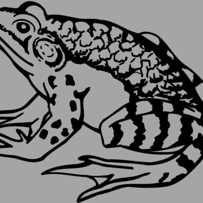 FROG03 Thumbnail