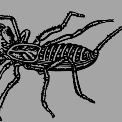 SCORP02 Thumbnail