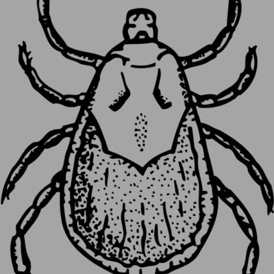 TICK Thumbnail