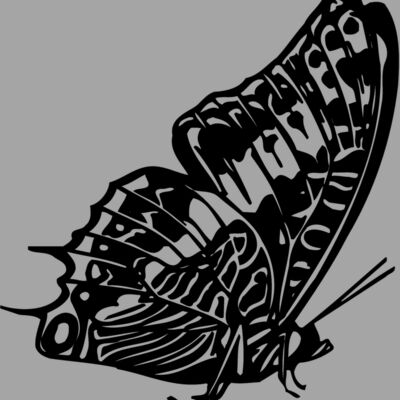 BTRFLY02 Thumbnail