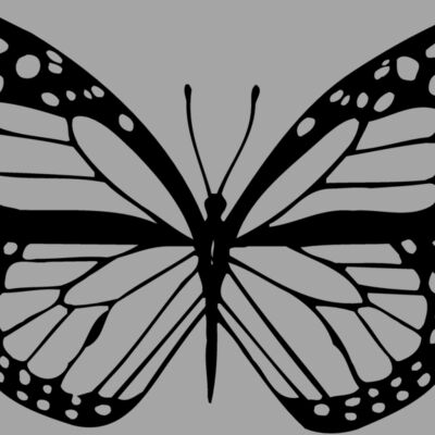 BTRFLY04 Thumbnail