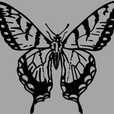 BTRFLY06 Thumbnail