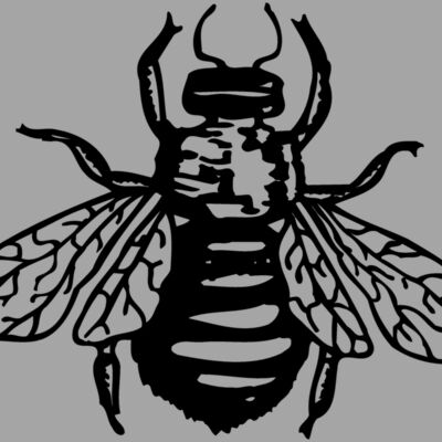 FLY01 Thumbnail