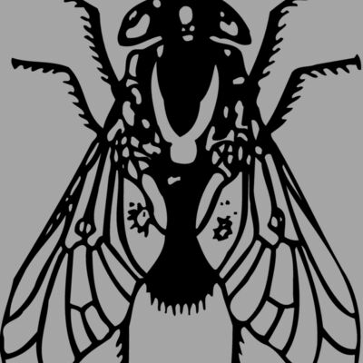 FLY02 Thumbnail