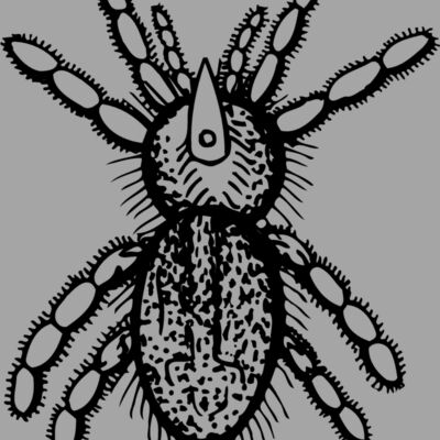 SPIDER05 Thumbnail