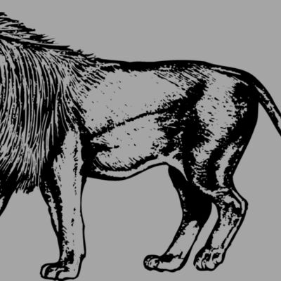 LION003 Thumbnail