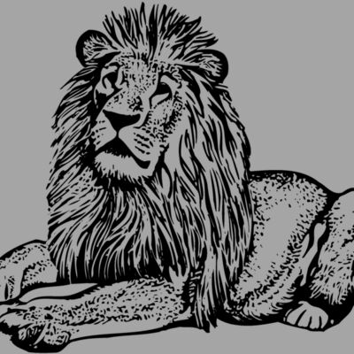LION004 Thumbnail