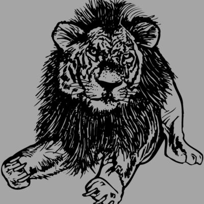 LION005 Thumbnail