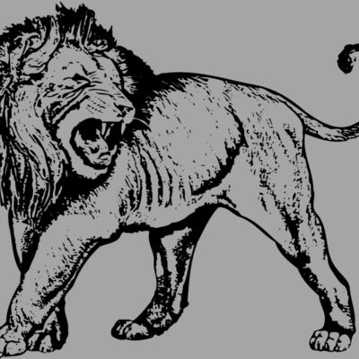 LION007 Thumbnail