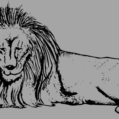 LION008 Thumbnail