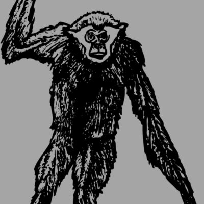 MONK003 Thumbnail