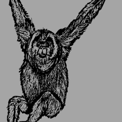 MONK005 Thumbnail