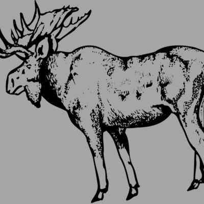 MOOSE002 Thumbnail