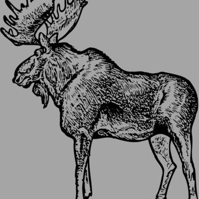 MOOSE004 Thumbnail