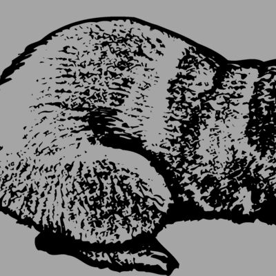 OTTER001 Thumbnail