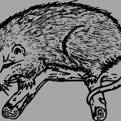 POSSUM01 Thumbnail