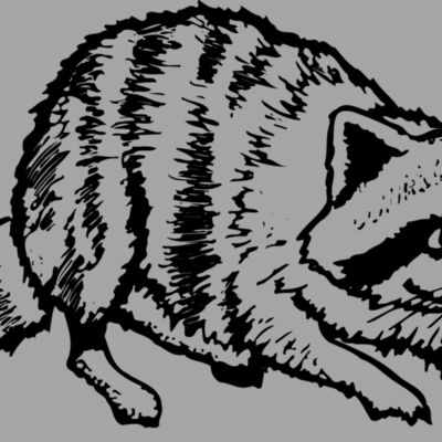 COON001 Thumbnail