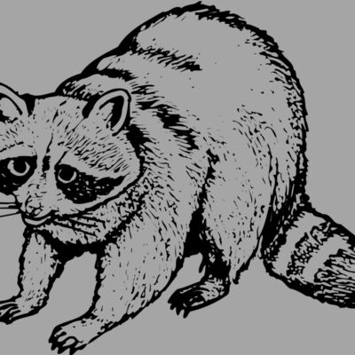 COON002 Thumbnail