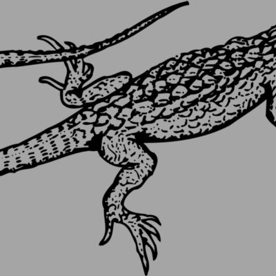 LIZARD01 Thumbnail